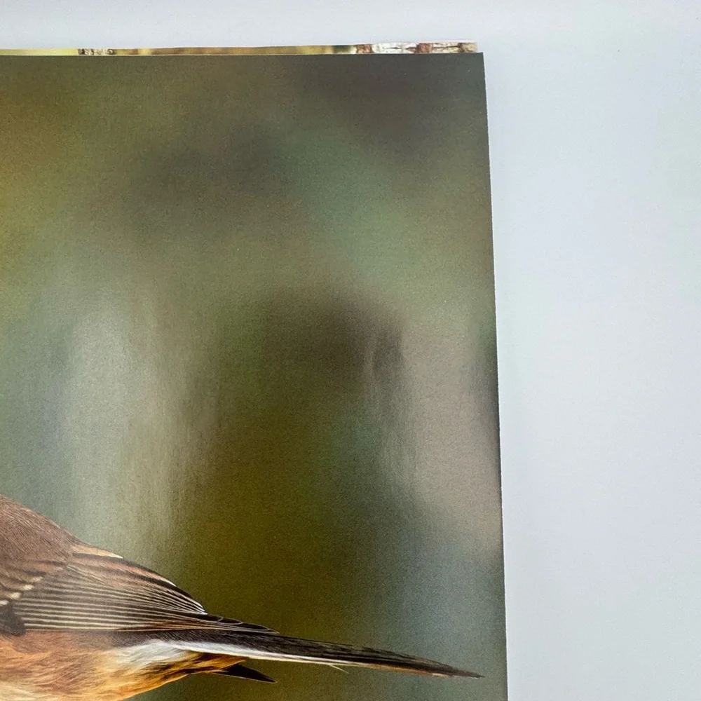 Wild Birds Unlimited‎ 2025 Bird Photography Wall Calendar Cornell BirdSpotter